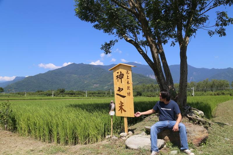 台東縣池上鄉「池上禾穀坊」以近9公頃農田生態系通過「保育共生地」認證審核，青農魏瑞廷（圖）長期秉持「叫大自然做工」理念，並自行命名為「神之米」。中央社記者李先鳳攝