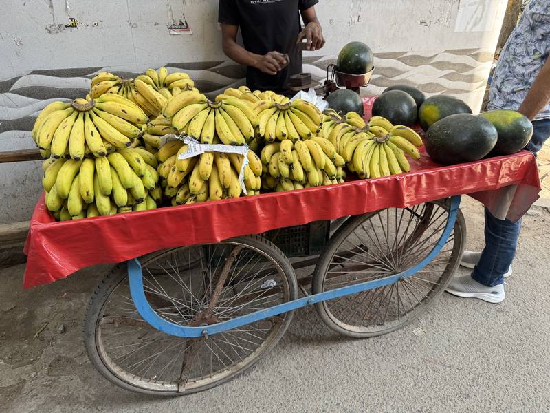中東衝突讓印度香蕉（圖）外銷到當地的成本大幅增加，但若轉內銷價格又將跌破盤。印度香蕉是否繼續銷往中東，正陷入兩難。