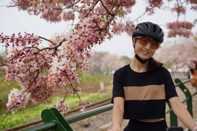 參山國家風景區管理處「二水線自行車約騎活動」28日登場，騎士沿途可欣賞台鐵集集支線旁花旗木盛開景觀（圖）、彰化縣二水車站、二水老街等景點，並結合深度導覽讓騎旅升級為文化體驗。（參山國家風景區管理處提供）