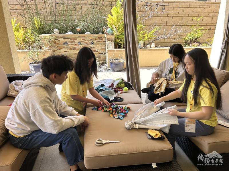 Participants collaborate in small groups to construct cat and dog toys, demonstrating teamwork and problem-solving skills.