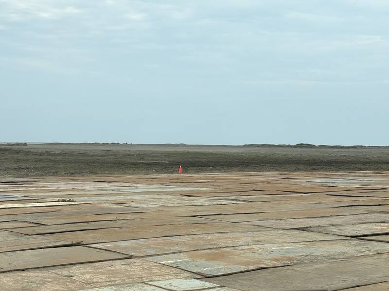 內政部2日表示，台北港北淤沙區及台南市七股區新生段暫置區，都預計在4月啟用收容。圖為台北港北淤沙區暫置場。