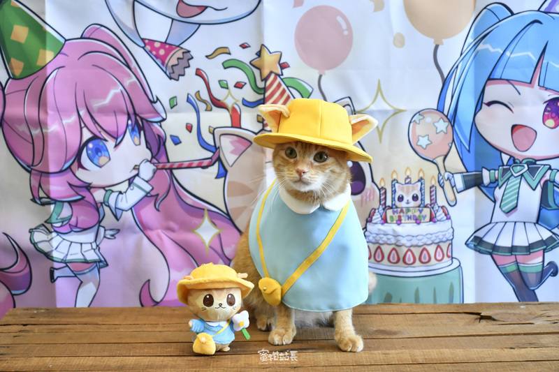 高雄捷運站長「蜜柑」4日迎來6歲生日，高雄捷運公司為蜜柑慶生，2日至7日將全線車站所有閘門的嗶卡聲，改為蜜柑喵喵叫的聲音。（高雄捷運公司提供）