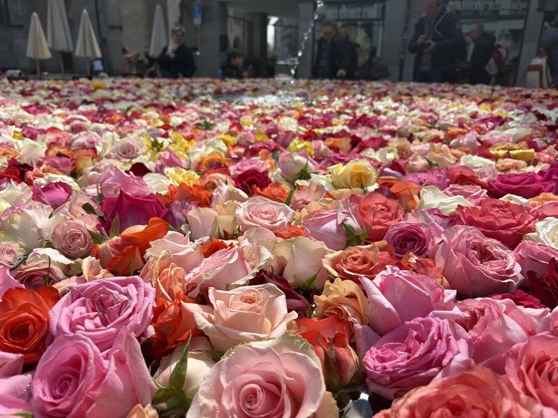 玫瑰噴泉是蘇黎世復活節的新時代傳統，教會希望以花卉的力量支持脆弱的人心。