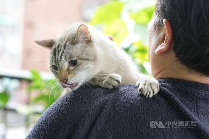 示意圖。（中央社檔案照片）