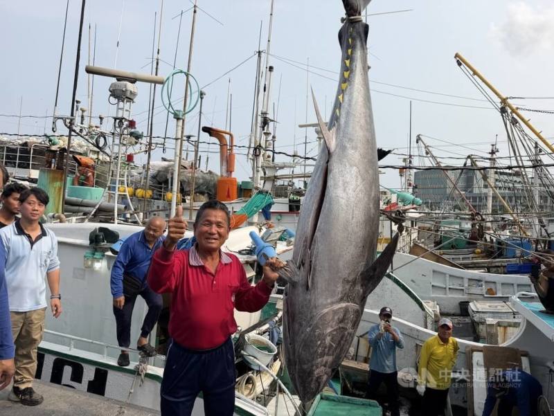 2026年屏東第一鮪出爐，由琉球籍漁船富漁慶2號於5日捕獲，6日順利「驗明正身」，船長洪福家（前紅衣）開心與捕獲的「第一鮪」合影