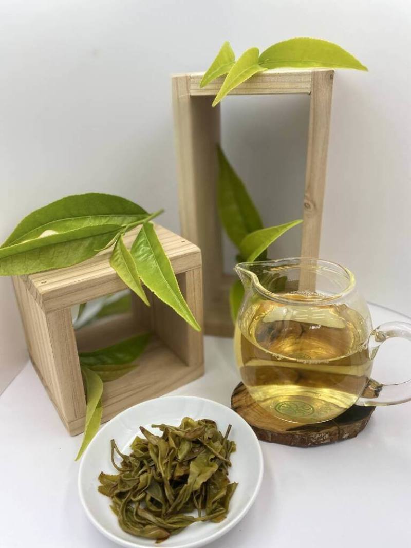 農業部茶及飲料作物改良場經由特殊製茶工藝，研發出台茶24號「山蘊」，將被譽為「台灣茶界櫻花鉤吻鮭」的原生種茶葉，轉化為高機能性烏龍茶，帶有獨特木質菇蕈味，並伴隨蔗糖、糖炒栗子般的溫潤甜香。