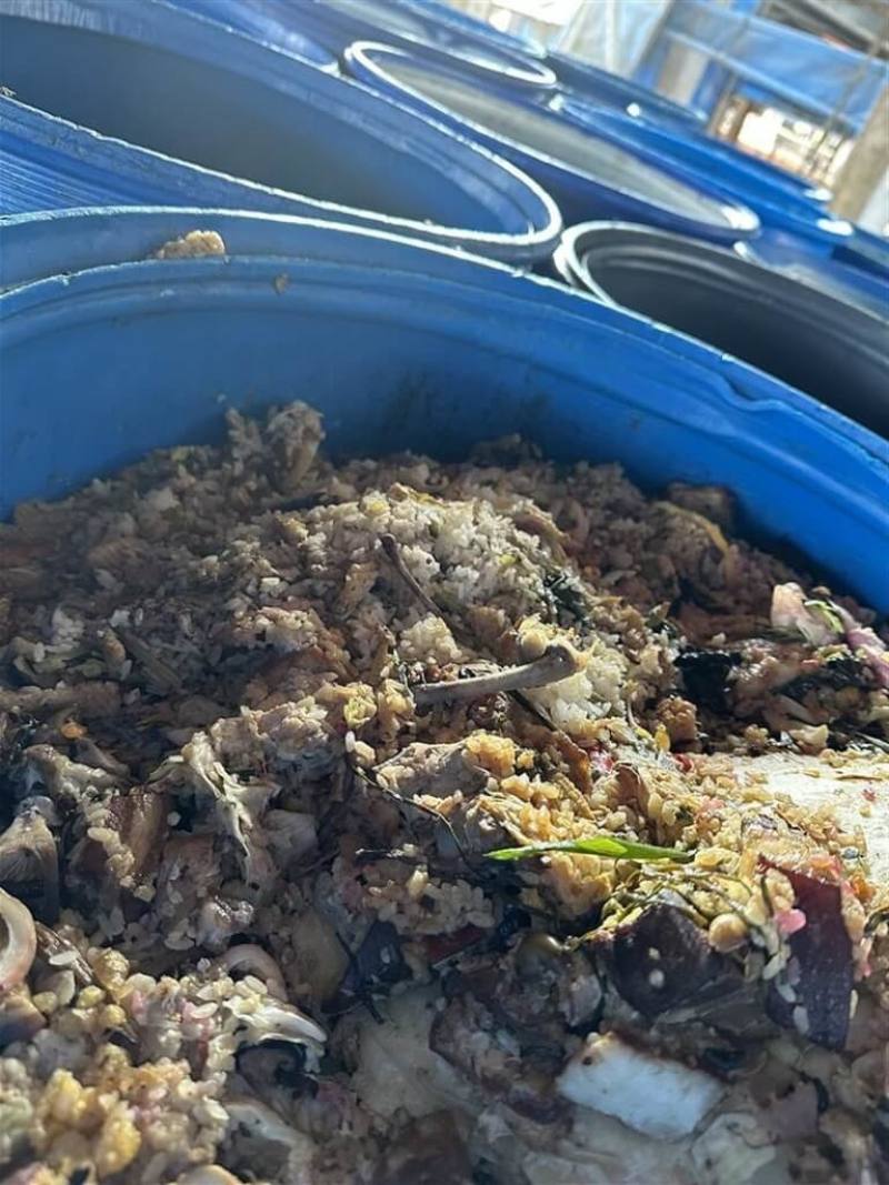 彰化縣動物防疫所掌握情資，芬園鄉2處養豬場使用廚餘養豬（圖），動防所12日突襲查獲，待2場業者說明後將開罰，最高可處新台幣400萬元。