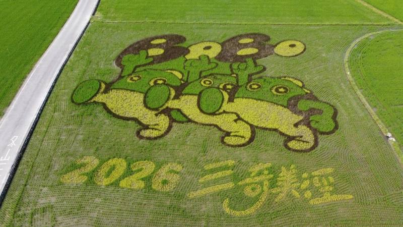 宜蘭縣冬山鄉「三奇美徑」每年春夏都以不同彩稻呈現不同意象，今年以黃、黑、綠3種不同稻苗，在約0.3公頃田間呈現Q版波波草圖案，可愛吸睛，觀賞期將持續至6月底稻田收割時。（冬山鄉公所提供）