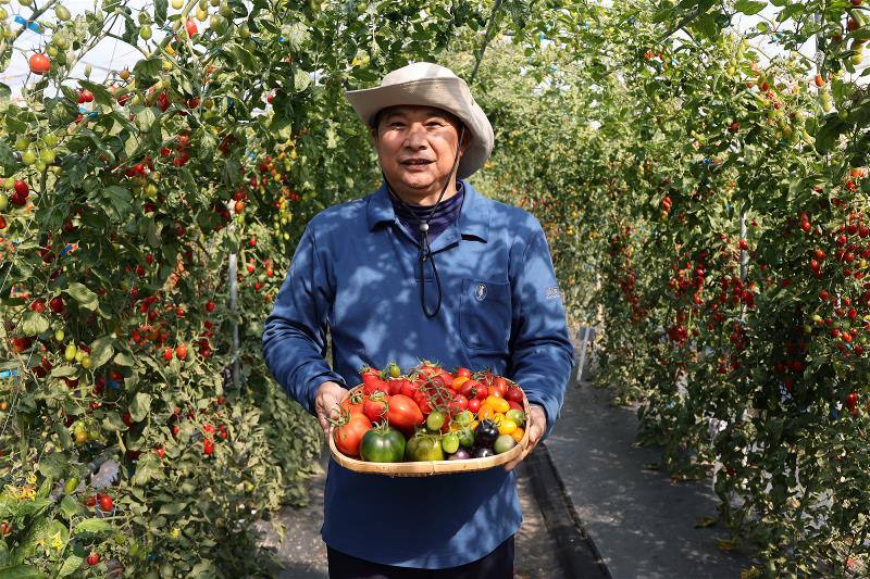 台南研究農場場長黃俊傑認為，育種的第一目標就是要好吃，接著才考量適應環境、抗病的因素。
Huang Chun-chieh, director of the Tainan Research Farm of Known-You Seed Company, avers that the primary goal of a breeder should be delicious taste, only after which one should consider environmental adaptabil