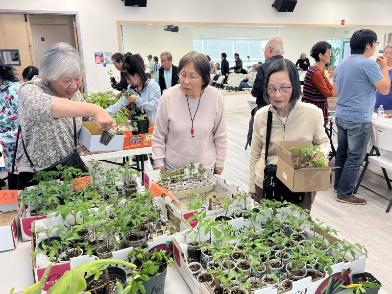 蔬果幼苗與枝條交換