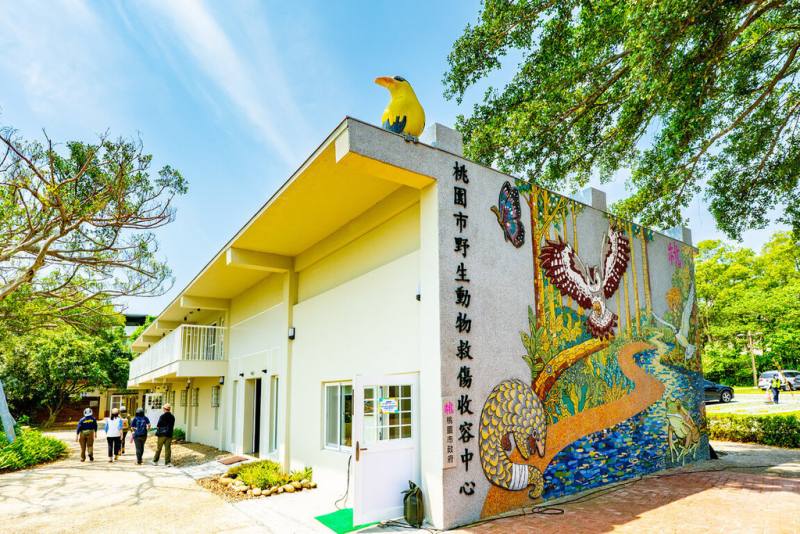 桃園市野生動物救傷收容中心位於八德區大湳森林公園，21日揭牌啟用，為桃園市首座兼具野生動物救援、醫療、收容、復健及教育推廣功能專業場域。（桃園市政府提供）