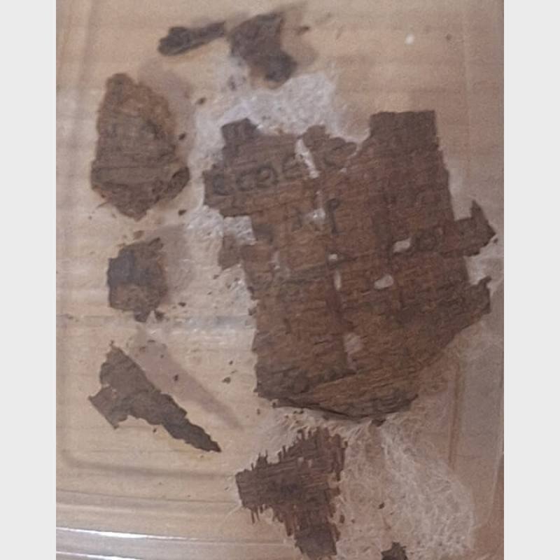 考古學家在一具古埃及木乃伊的腹部發現一份紙莎草抄本的荷馬史詩「伊里亞德」。（圖取自巴塞隆納大學官網web.ub.edu）