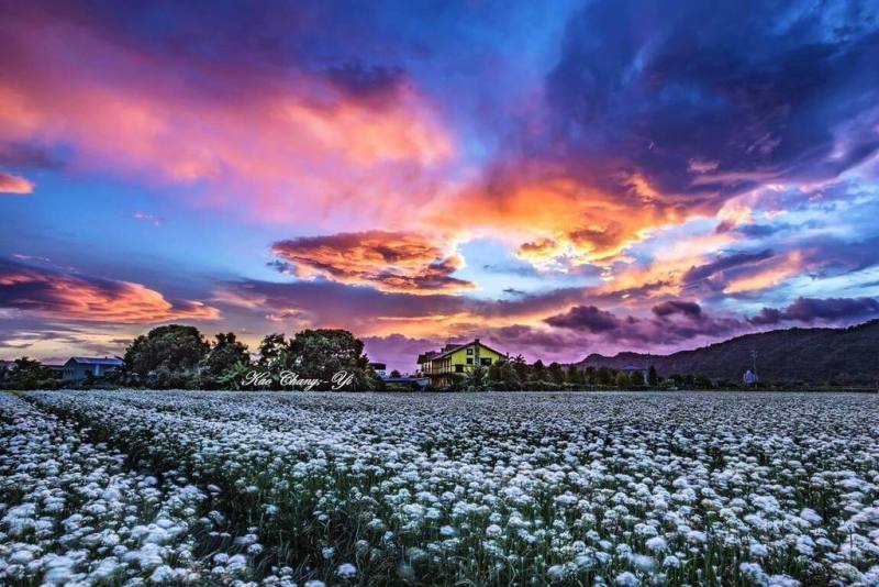 桃園市農業局23日表示，大溪中庄休閒農業區歷經多年爭取，近日正式獲農業部公告劃定，成為桃園第13個休閒農業區。（桃園市農業局提供）