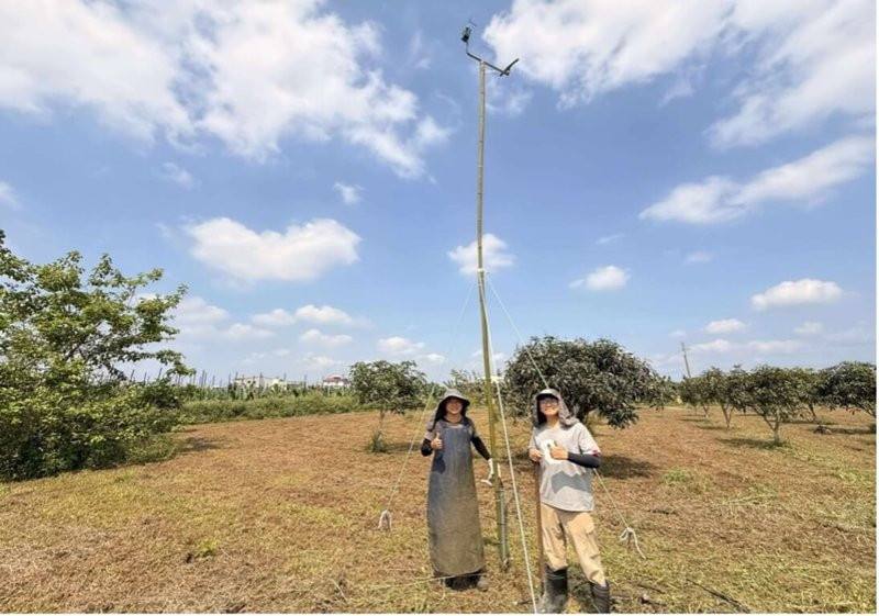 屏東縣政府推動生態給付，讓農地成為瀕危物種草鴞棲地。獎勵金項目包含於田區架設猛禽棲架。（屏東縣政府農業處提供）