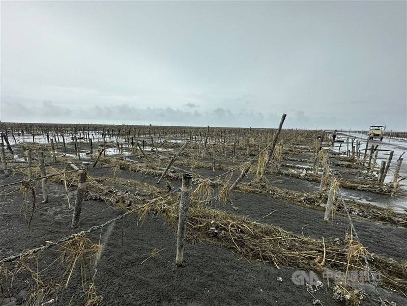 113年颱風凱米襲台，帶來嚴重災情，國發基金推出「協助地方創生事業振興融資方案」，讓地方創生事業取得復甦與營運發展所需資金。圖為颱風凱米重創彰化縣芳苑鄉蚵田。（中央社檔案照片）