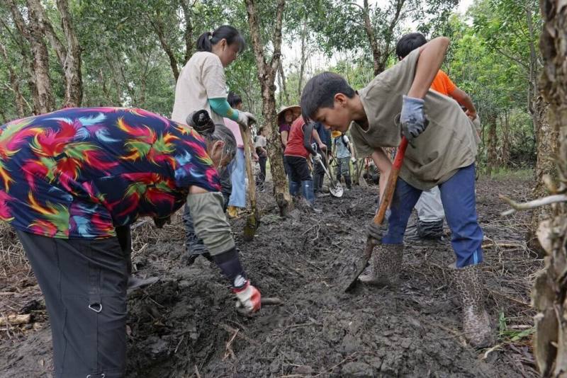 林業及自然保育署台中分署與東海大學生態與環境研究中心，攜手荒野保護協會台中分會、高北社區居民、東海及靜宜大學學生，投入陸蟹棲地營造行動，共同守護家鄉的生態資源。（林業及自然保育署台中分署提供）
