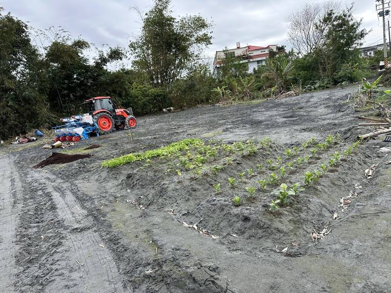 花蓮馬太鞍溪溢流影響，洪水淹沒光復及鳳榮地區農田，洪水退去後田間留下大量淤土，花蓮區農業改良場協助災區農友重建生產環境，藉復耕示範經驗擴散，讓受損土地再現生機與希望。