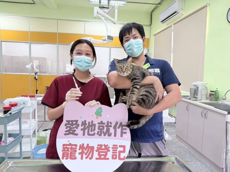 屏東縣政府將自5月1日起推動「家貓登記絕育送好禮」活動，鼓勵飼主為家中貓咪完成寵物登記及絕育措施，就可獲得500元超商禮券，藉以強化家貓源頭管理。（屏東縣政府提供）