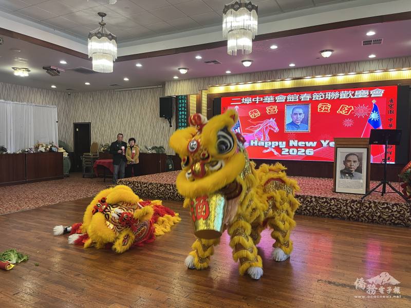 雙獅子表演並觀眾互動