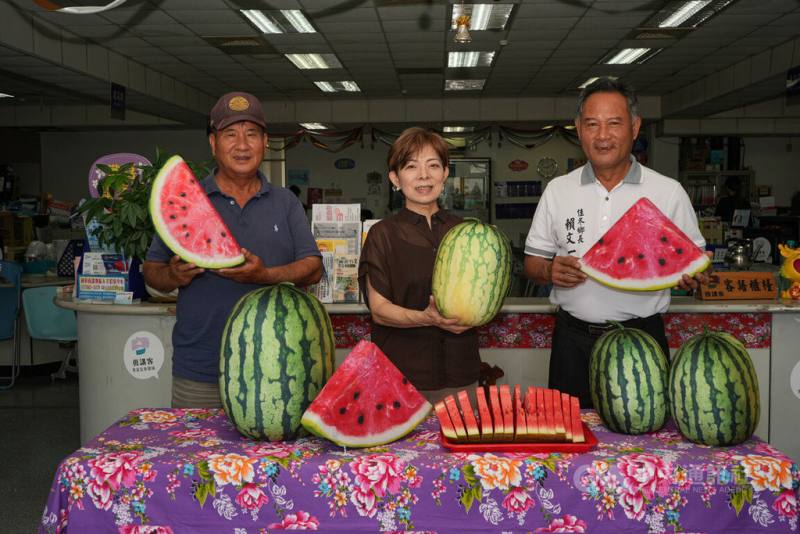 屏東縣佳冬鄉每年端午節舉行立西瓜活動，佳冬鄉長賴文一（右）、佳冬鄉農會總幹事林淑玲（中）及「西瓜大王」王家正（左）6日聯袂宣傳報名日期為5月7日。