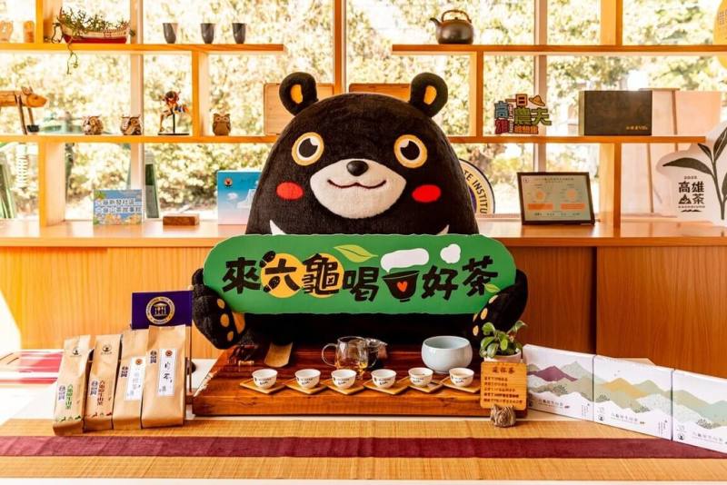 高雄市觀光局5月起推出「野趣東高雄小旅行」，規劃20梯次的6大主題遊程，在紅檜林中品茗原生山茶、採果等，帶領旅客深入體驗東高雄山城旅遊魅力。（高雄市觀光局提供）
