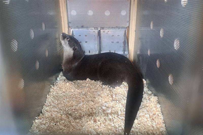 Photo courtesy of Taipei Zoo