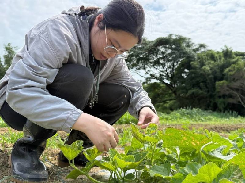 26歲的潘顯柔是首屆「植物診療師國考」合格診療師，服務短短1年便成為農民口中可靠的「植物醫生」，她認為，植物診療不只是書本知識，更重要的是田間實務經驗與農民回饋。（桃園市觀音區農會提供）