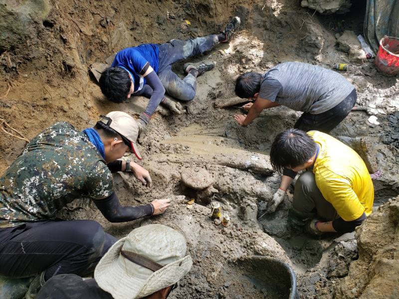 2. 因鯨魚化石的骨骼結構十分複雜，團隊在胸腔位置共同發掘。