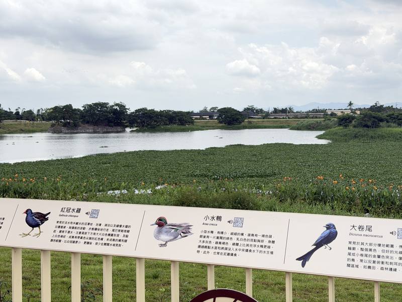 屏東武洛溪大仁支線滯洪池環境營造完工，18日正式啟用，其中賞鳥台解說牌上設有QR Code，民眾可透過掃描聽見鳥叫聲，具有環境教育功能。