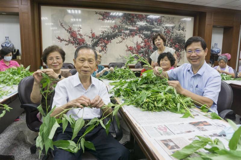迎接端午節，台中市南屯區應景民俗活動「穿木屐躦鯪鯉踩街」嘉年華將登場，萬和宮董事長蕭清杰（前左）、南屯區長林秋萬（前右）15日與志工挑揀麻芛葉，當天將煮成麻芛湯提供民眾品嚐。（萬和宮提供）