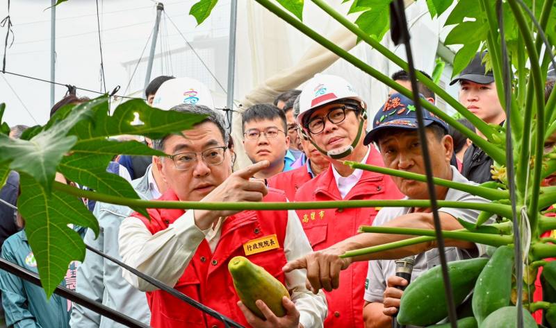 行政院長卓榮泰視察美濃區木瓜災損情形