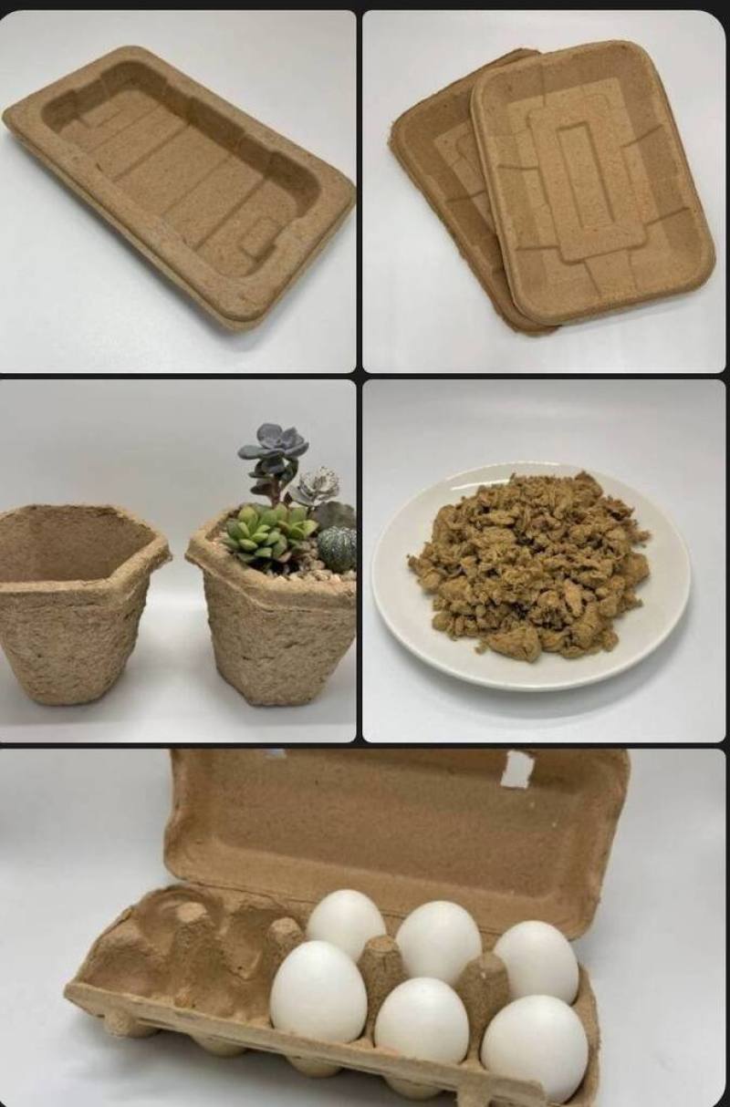 農業部農業試驗所成功利用田間剩餘的稻草，開發出蛋盒、生鮮托盤等食品級包材及盆栽容器，具備可分解性。（農試所提供）