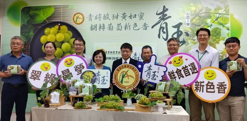 農業部農業試驗所1日舉行記者會，介紹以20年時間培育出的新品種葡萄「台農2號－青玉」，成熟時會自然呈現黃綠色果皮，現場並與農友簽署技術移轉意向書。