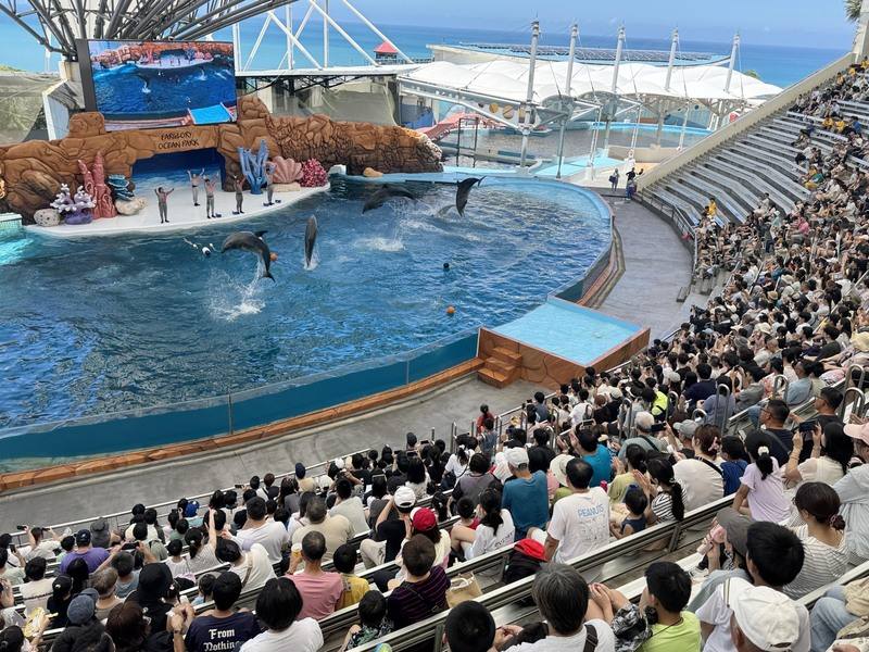 花蓮遠雄海洋公園7月起成立「海豚守護基地」，原本以娛樂性表演的海豚秀，轉型為生態展演，所有展演動作都以健康檢查與照護需求出發。
