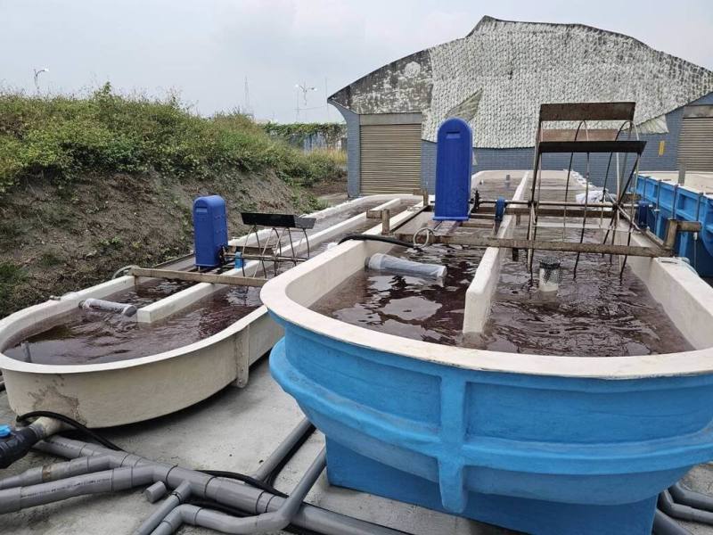 Photo courtesy of Fisheries Research Institute