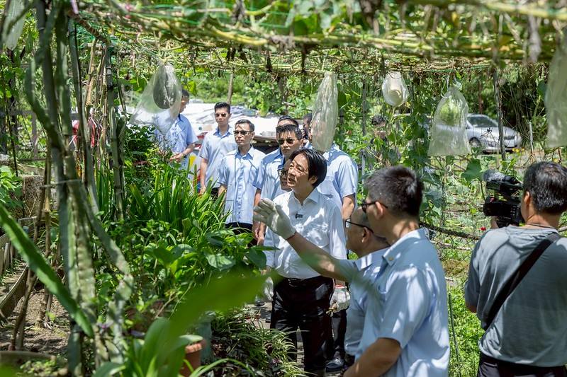 總統前往市民菜園參觀，了解市民農園運作情形