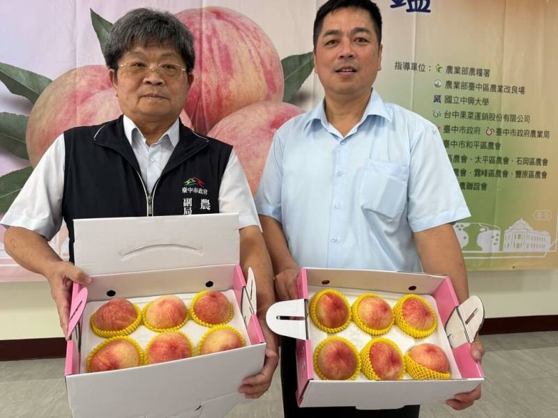 由台中市農業局推出的「台中領鮮」農產電商平台22日宣布，自即日起到8月20日開賣優質高山水蜜桃，讓消費者不用上山，就能將新鮮高山水蜜桃宅配到家。（台中市農業局提供）