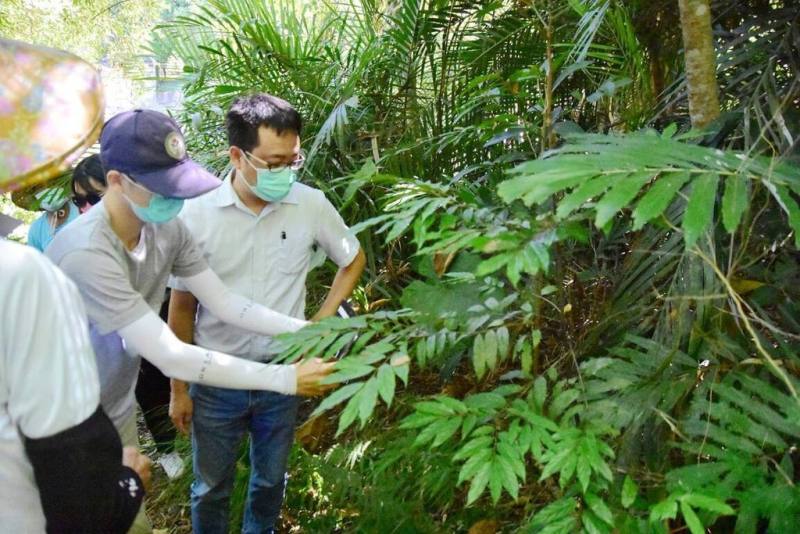 農業部台東區農業改良場近年輔導台東縣電光部落建立酒麴作物保種繁殖系統，將原民傳統作物及相關文化傳承至下一代，進而推動部落食農教育。（台東農改場提供）