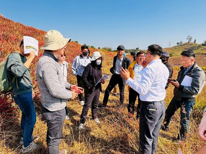 為提升土地利用效益，高雄市農業局推動「大寮區明善段造林與植林碳匯專案」，將廢耕鳳梨田變相思樹林，日前獲環境部審議通過。（高雄市農業局提供）