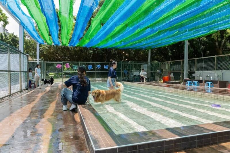 新竹市政府12日表示，已啟動「狗狗戲水池」前置規劃，預計以南寮動物保護教育園區既有設施為基礎，評估設置大、小型犬戲水區，並納入高齡犬水中復健功能，希望將寵物公共設施從休閒娛樂延伸至健康照護。（新竹市政府提供）