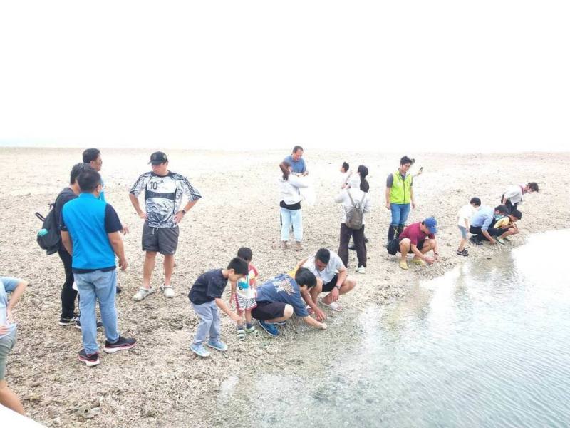澎湖區漁會與海洋保育署24日在澎南海域放流加志魚苗與水晶鳳凰螺，現場同時進行親子海洋教育，讓小朋友們從小認識澎湖海洋生態與漁業資源的重要性。（澎湖區漁會提供）