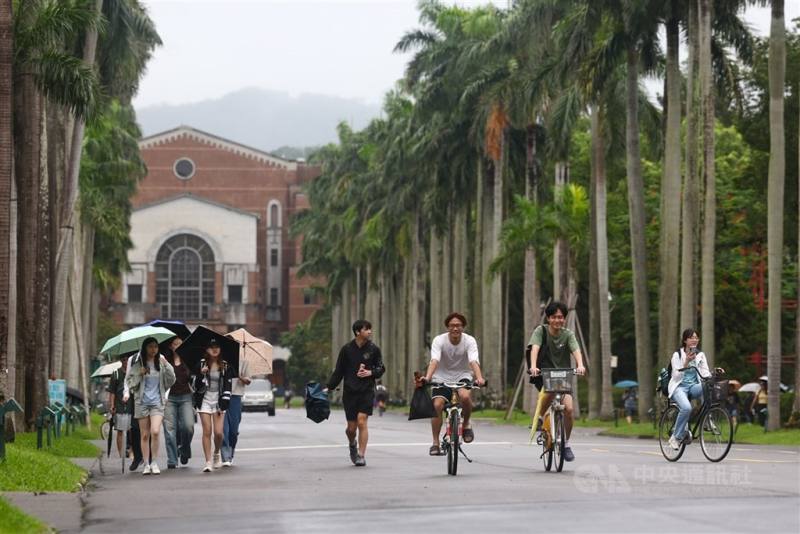 圖為台大校園椰林大道。