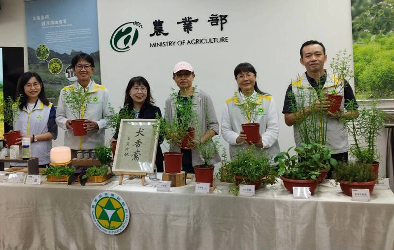 農業部林業試驗所8日公開介紹在宜蘭雙連埤發現香氣特殊的「石薺薴」，為當地耆老所稱「痱子草」，經化學分析後發現含有高階香水原料成分，並將此類特殊石薺薴取名為「犬香薷」，已建立繁殖技術並媒合開發出精油產品。