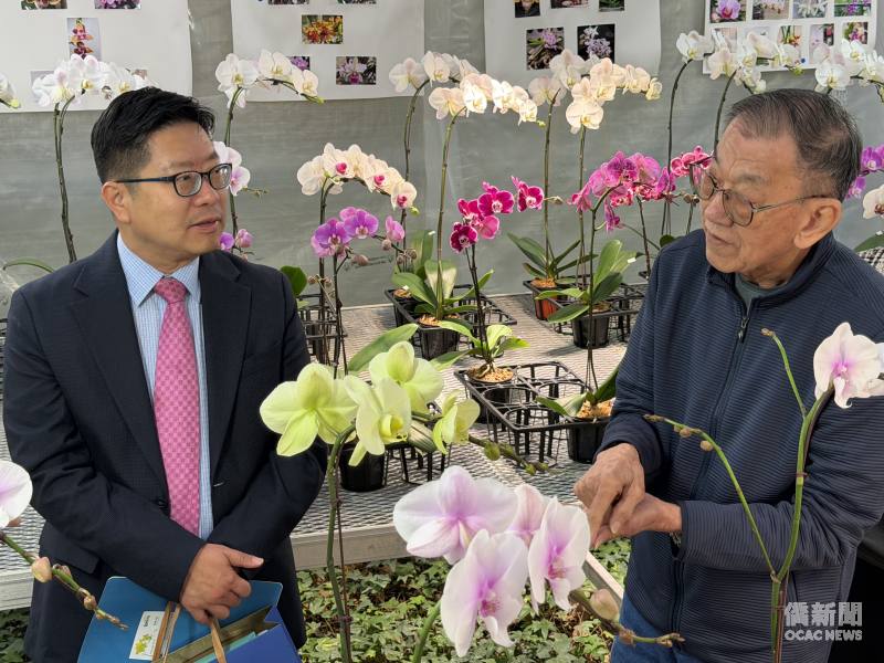林英杰（右）向藍柏青（左）說明蘭花種植及培育技巧。