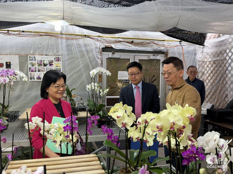 賴麗瑩（左一）參觀蘭花培育場，瞭解多各式蘭花品種及其栽培特色。