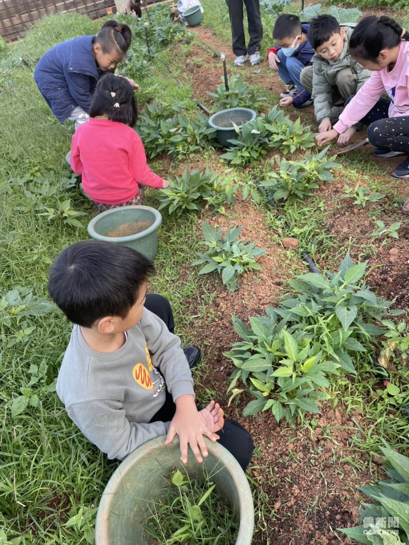 桃園市瑞原國小：戀念臺灣體驗學生走入豐富的自然生態環境校園進行食農教育與校園探索。