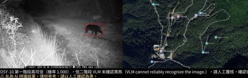 大雪山國家森林遊樂區建置AI防熊預警系統，近日在49K小雪山資訊站旁西勢山林道入口拍攝到台灣黑熊活動影像。（林業及自然保育署台中分署提供）
