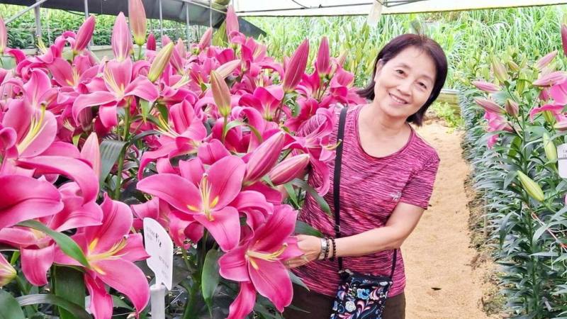 嘉義縣阿里山鄉樂野部落種植大片百合花，3、40個不同品種近日已綻放，中秋連假吸引不少人前往賞花。（民眾提供）
