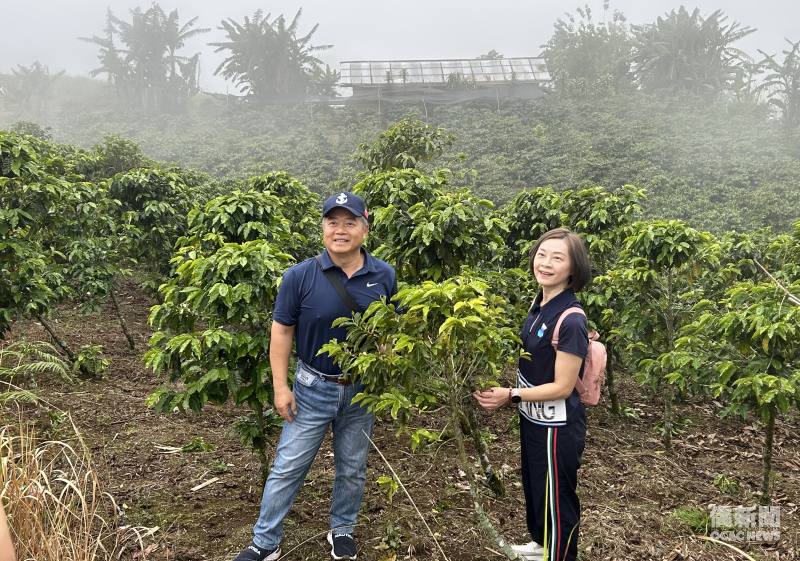 周民淦夫婦實地參觀咖啡園，瞭解阿波山高海拔地區咖啡樹生長及栽培情形。