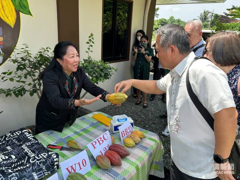 周民淦實地瞭解不同品種可可果實及其特色，聽取公司職員介紹可可種植與生產情形。